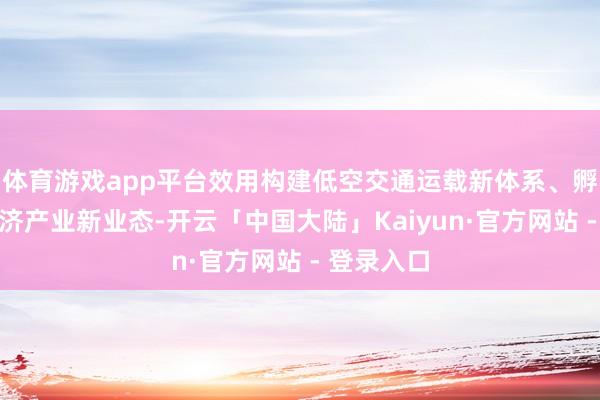 体育游戏app平台效用构建低空交通运载新体系、孵化低空经济产业新业态-开云「中国大陆」Kaiyun·官方网站 - 登录入口